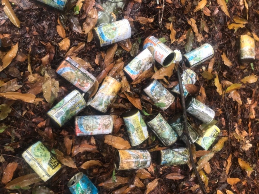 雙龍林道上巒安堂西巒大山_1778819