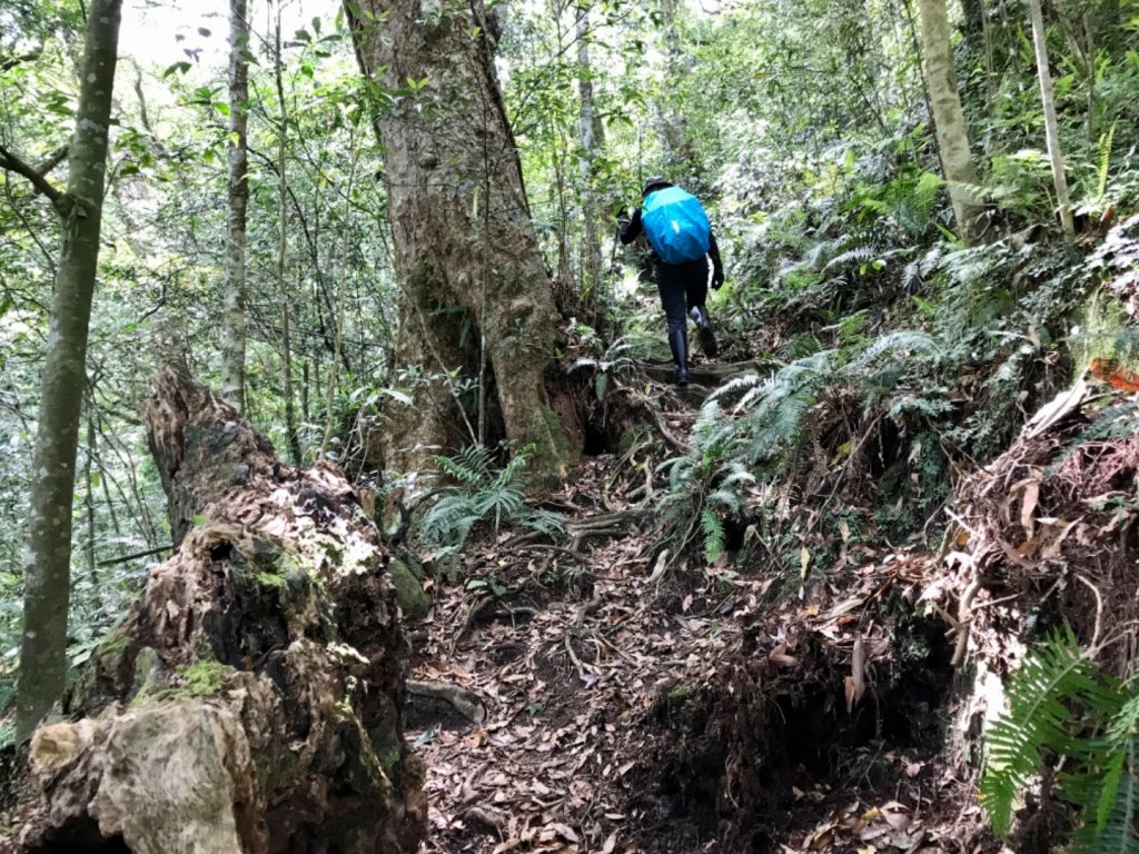 嘎色鬧走那結山_1370951