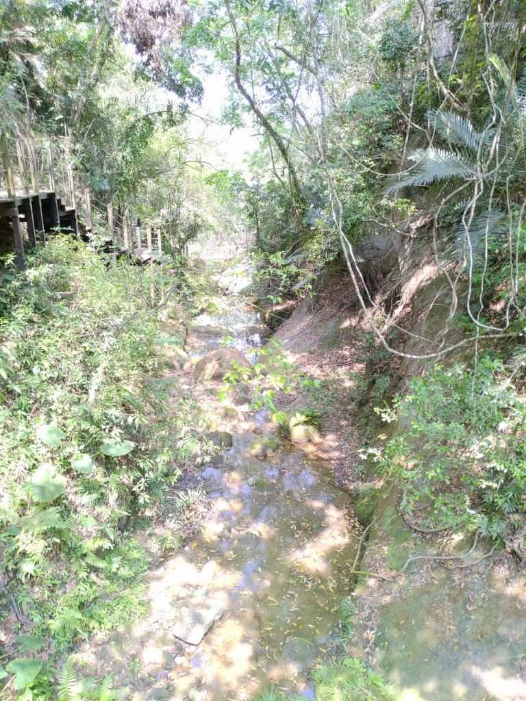 蝙蝠洞延伸步道_20230501_2144916