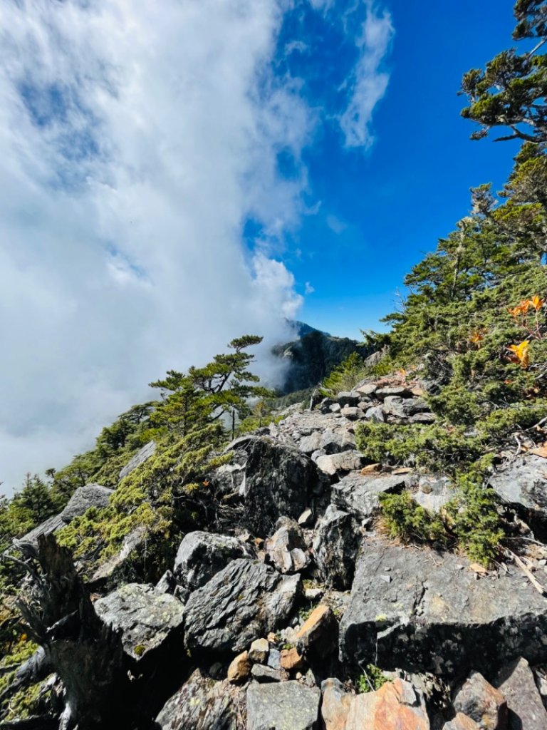 南橫公路溪頭山_1963609