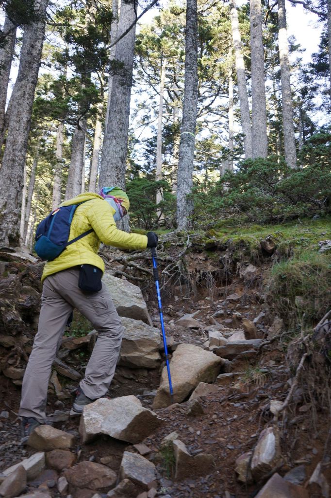 雪山主東行_399144