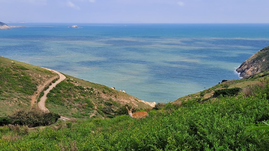馬祖大坵梅花鹿島環島健走_1142297