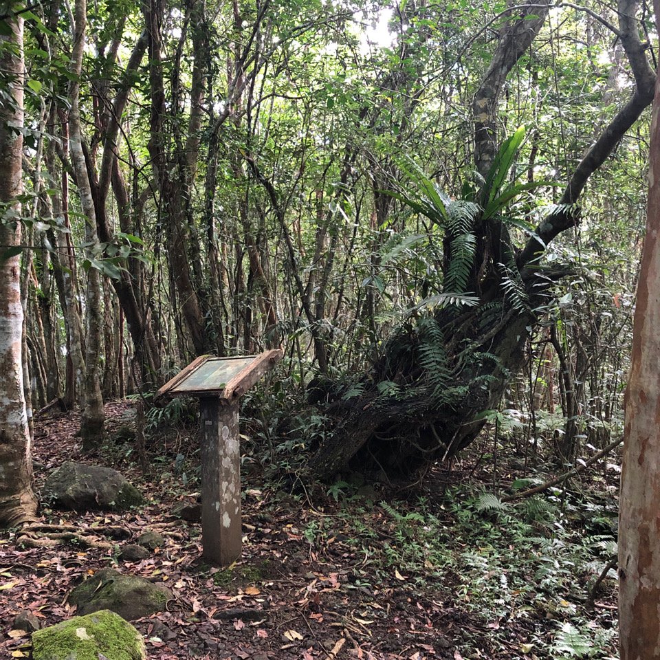 鯉魚、月眉、初音山，見證山友完登小百岳。_1001183