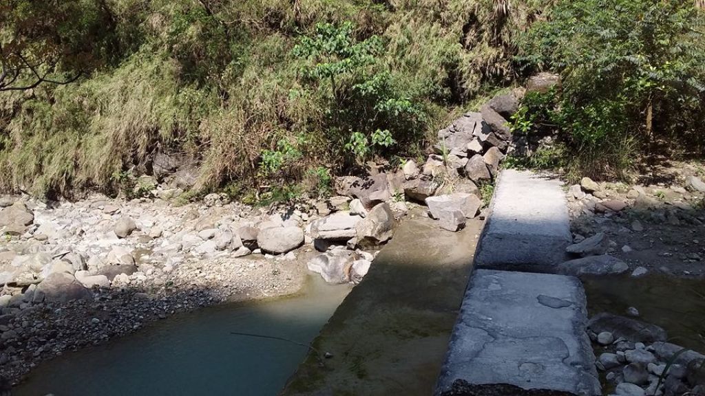 (尚未整理)【嘉義】塘湖古道阿里山鐵路_305141