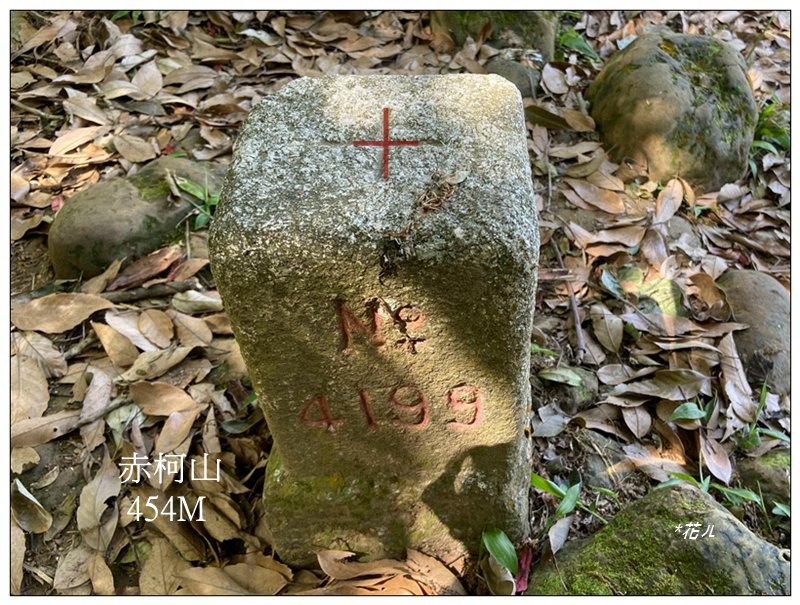 赤柯山、赤柯山南峰、東獅頭山 O型路線封面圖