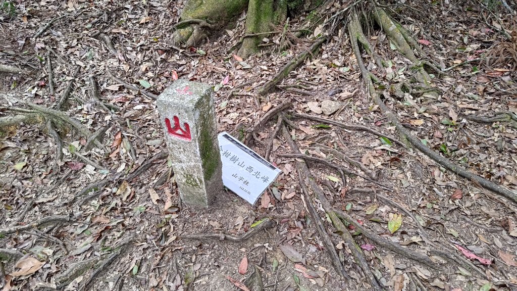 金柑樹山_2759437