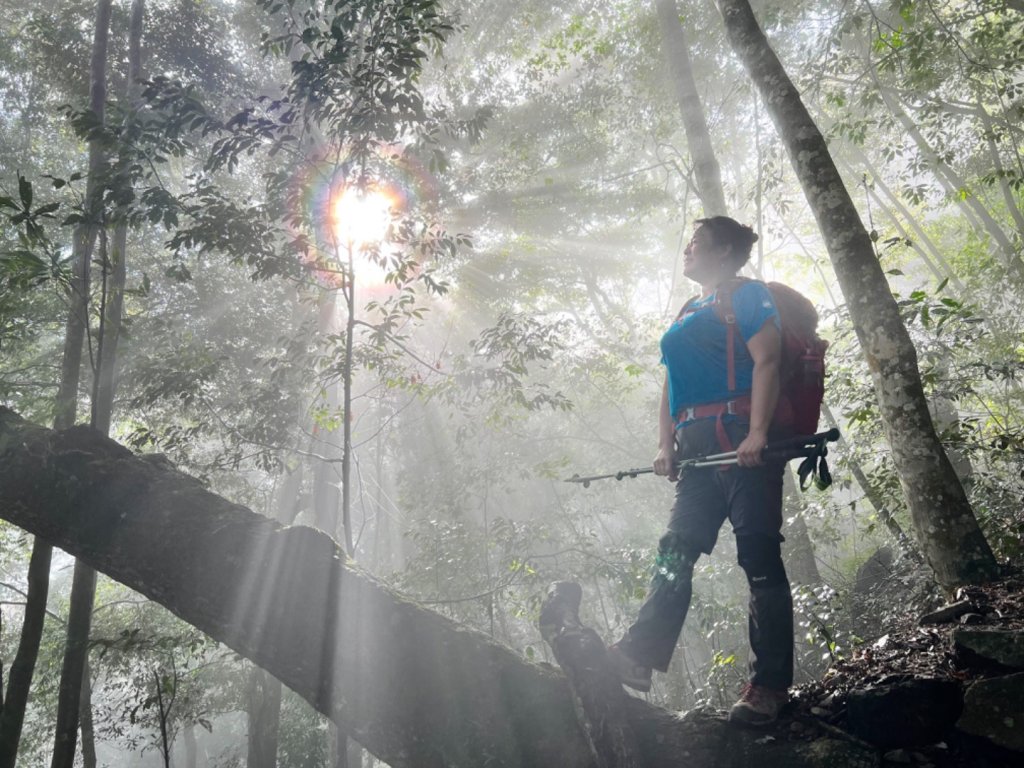 谷關七雄（老大）八仙山步道（七雄完登）_1959159