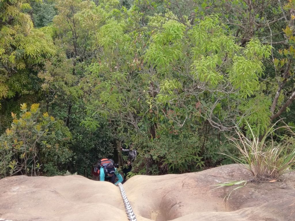 20180404猴兒來爬皇帝殿_303199