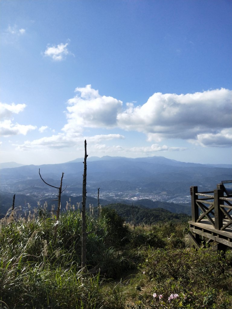 姜子寮山步道_1678555