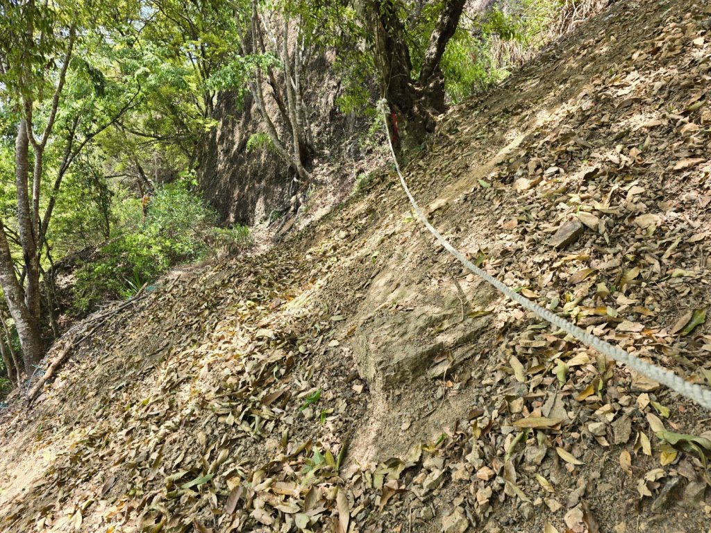 谷關松鶴橋對面的德芙蘭生態步道順登東卯山西南峰_2748299