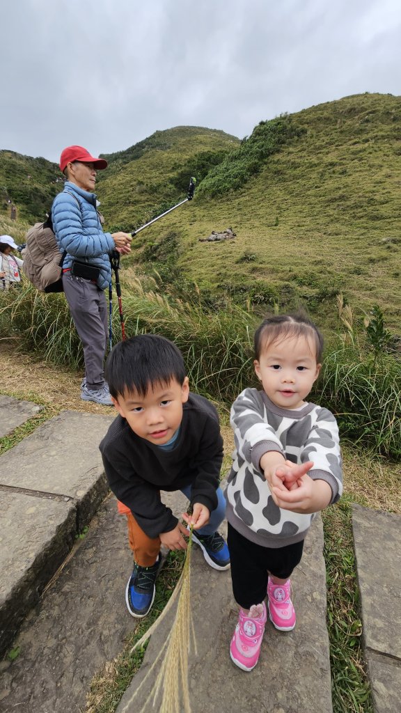 草嶺古道封面圖