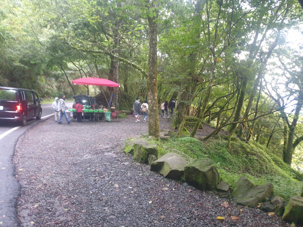 20220716鹿林神木、二萬坪步道、二萬坪山、屏遮那山_1774931