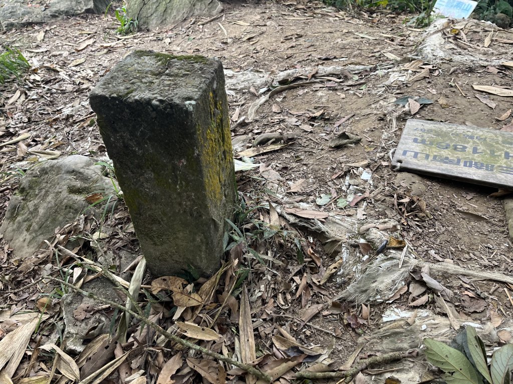 2023_1118 三腳南山_2353271