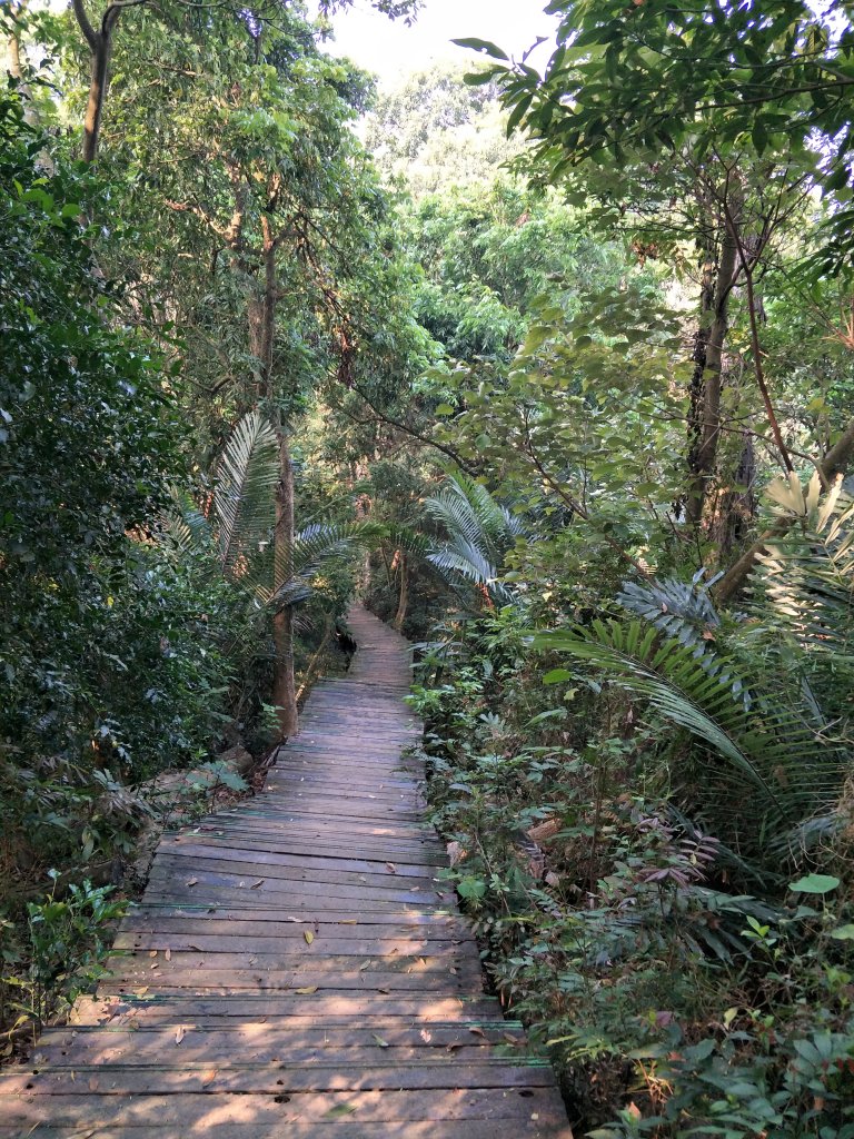 2019 03 27 紅毛埤山&大湖尖山_552932