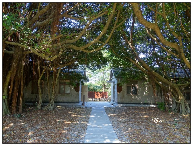 清水/鰲峰山步道_689157