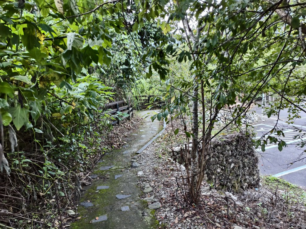 [玉山尋寶任務-07/12] 2025_0824 八通關雲龍瀑布步道_2870378