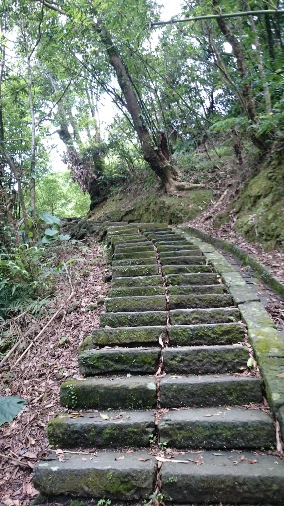 三貂嶺瀑布步道_44669