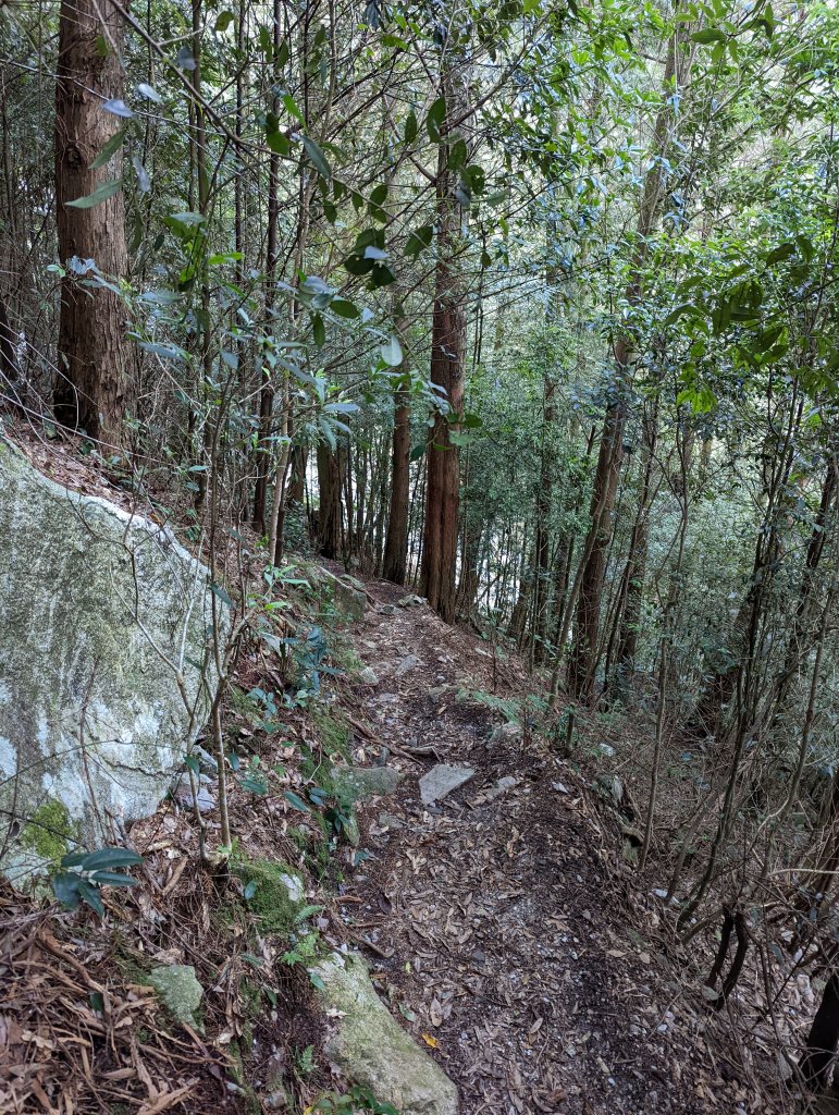 2022.02.26－稍來山_1621992