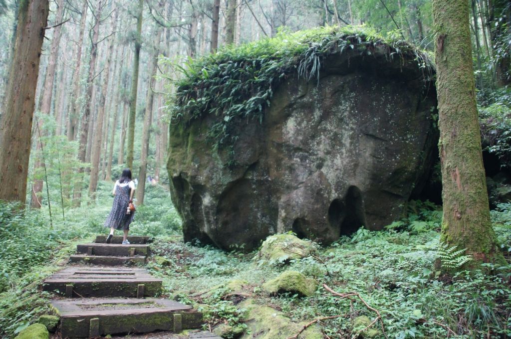 2017-9-22嘉義大凍山_221939