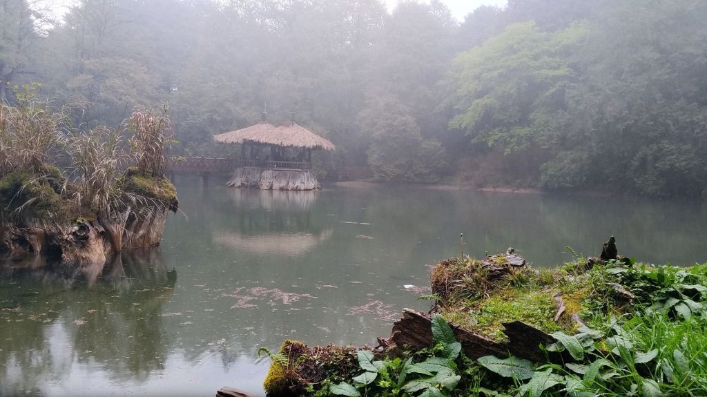 阿里山五奇_306237