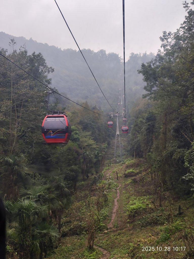 四川青城山→樂山市_2938165