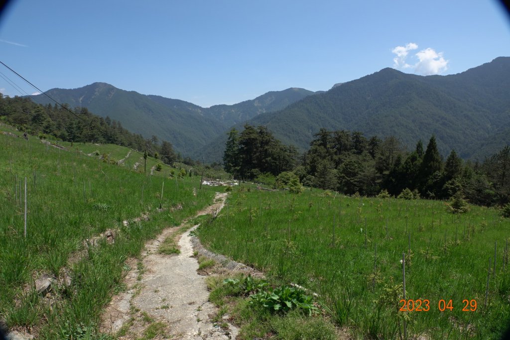 南投 仁愛 武法奈尾山_2133714