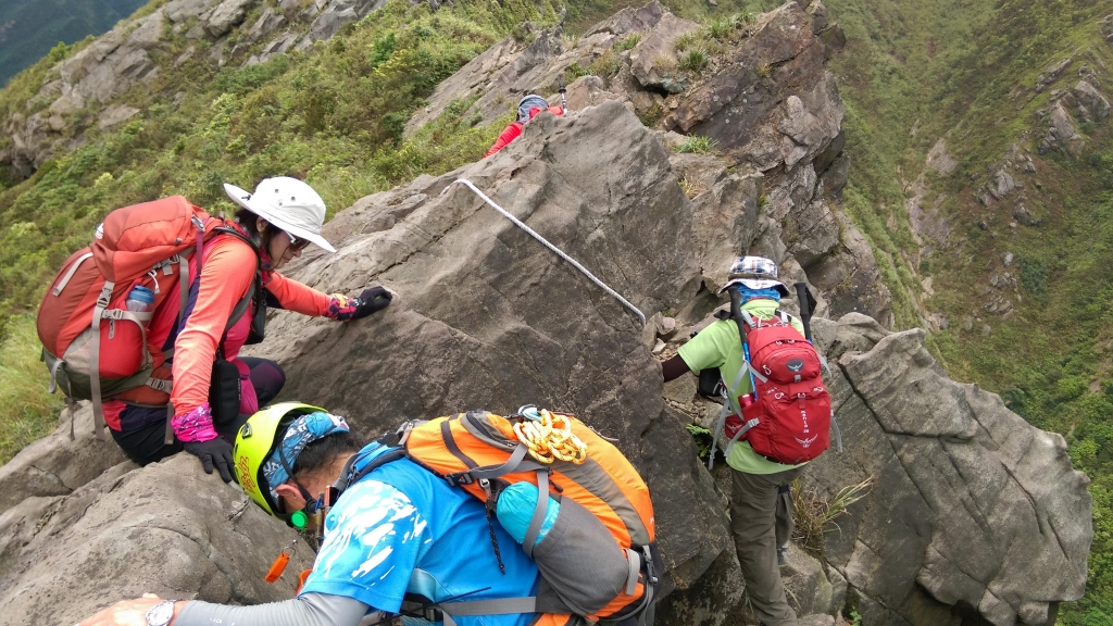 黃金十稜之劍龍鋸齒茶壺俯瞰四稜連走_51941