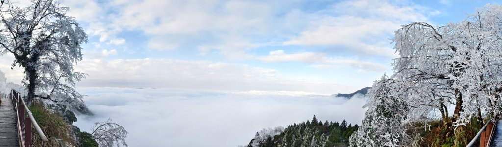 #霧淞 #雲海 #雲瀑 #霧虹 #太平山 #望洋山 #觀雲步道 #翠峰道路  2/8_2995313