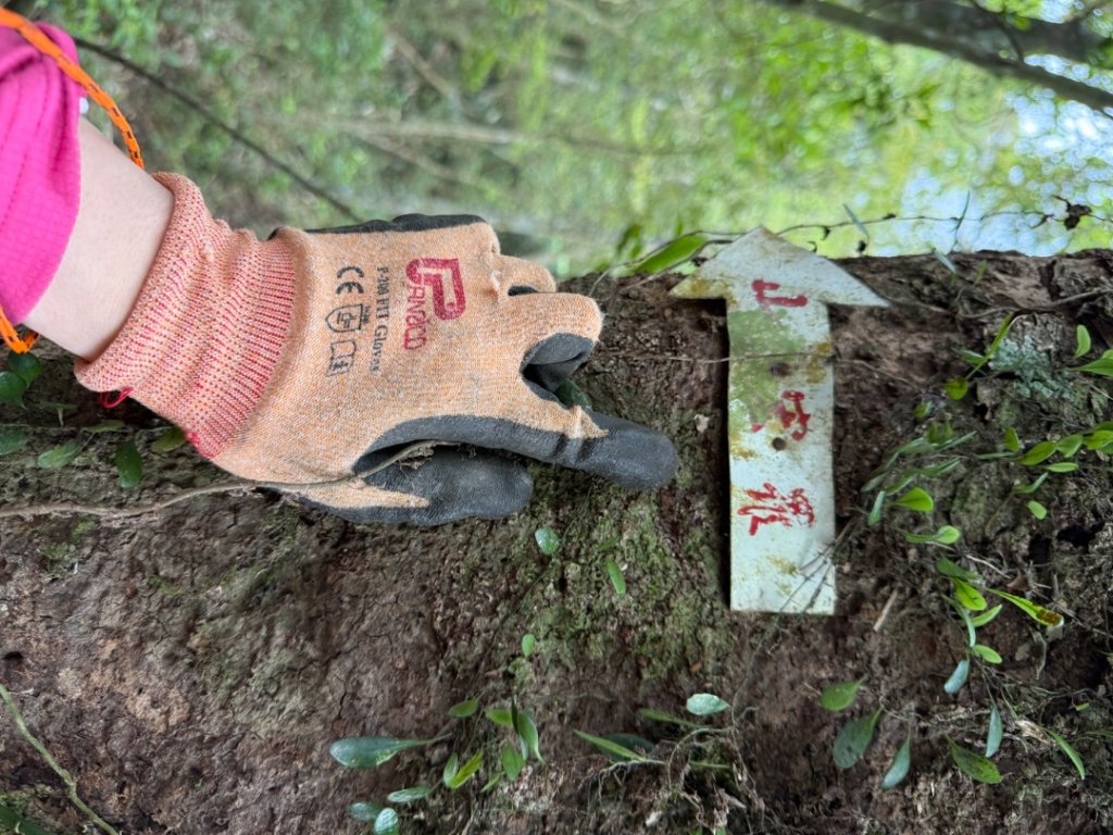 桂山路197巷 》呂奔山北峰 》呂奔山 》阿玉壩_2755818