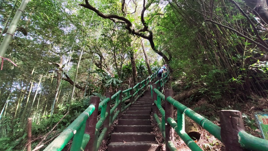 火焰山，三粒半，天上山，桐花步道_1765780