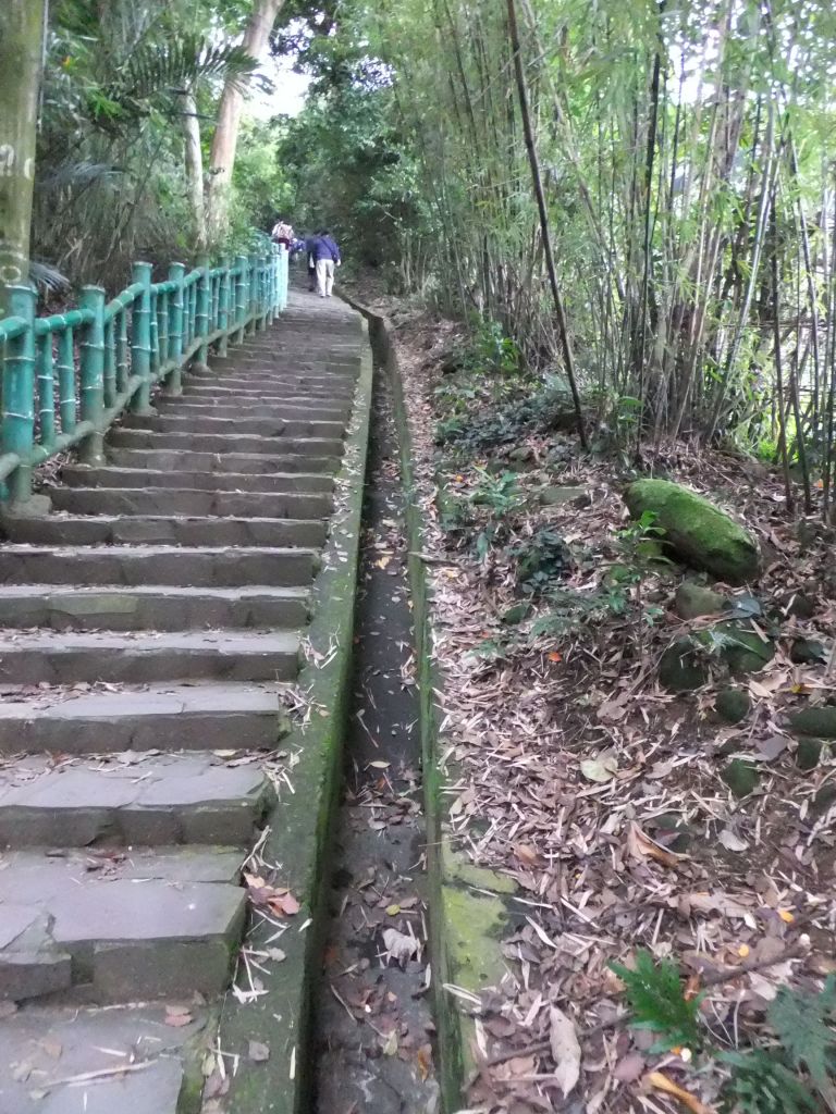 飛鳳山‧觀日坪_210889