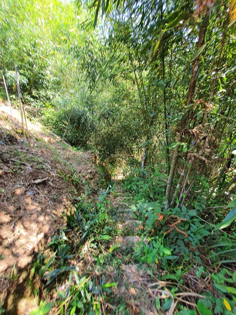 草嶺風情(石壁山,連心池,萬年峽谷)_1487193