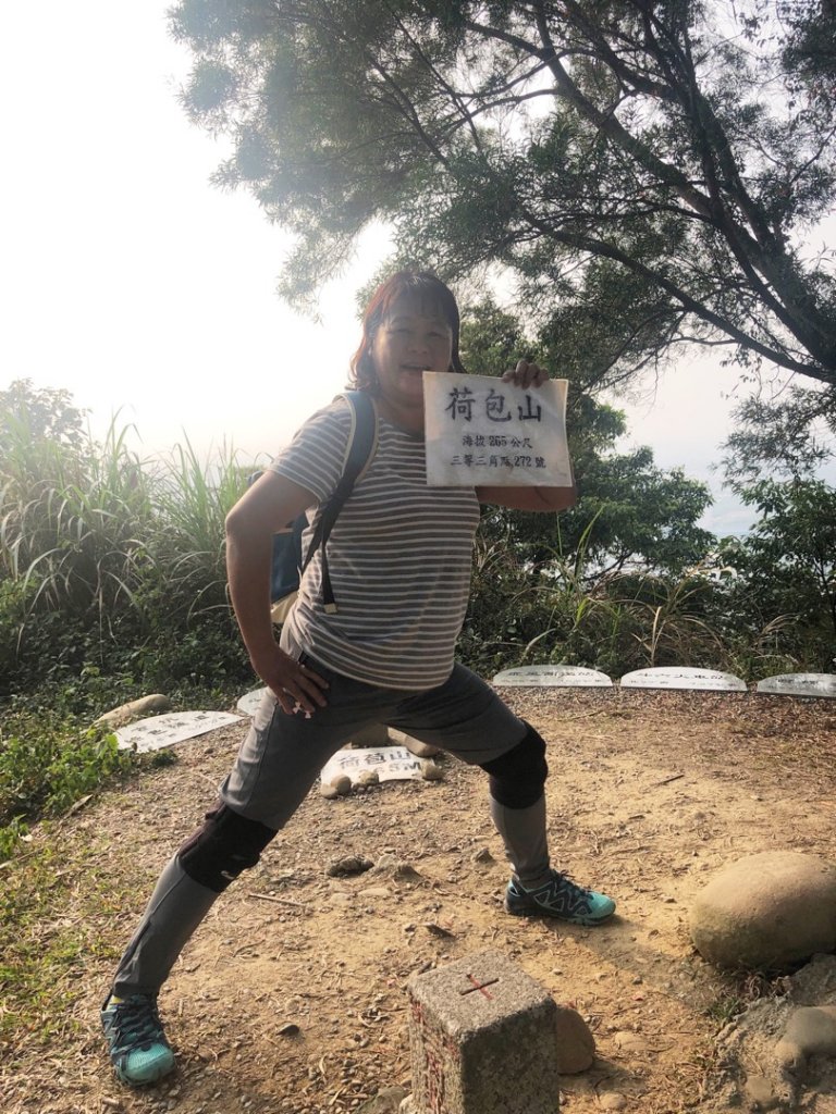 古坑荷苞山步道賞桐花_922648