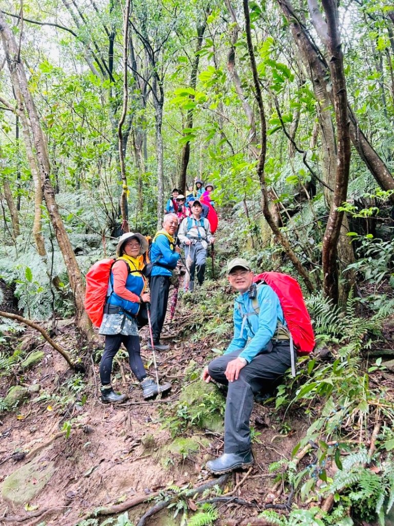 台北縱走第四段訪雙溪山 梅花山與西峰南峰西南峰 碧山_3012806