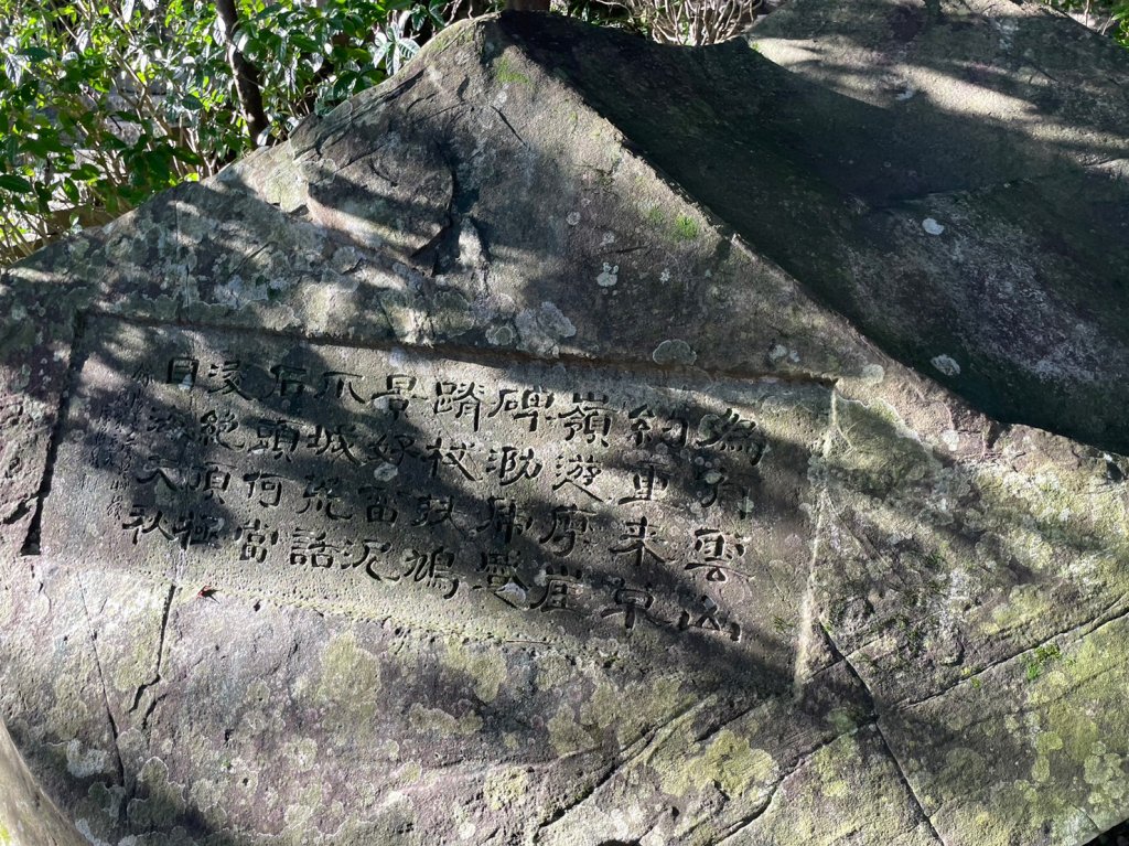 2023芒花季_2357403