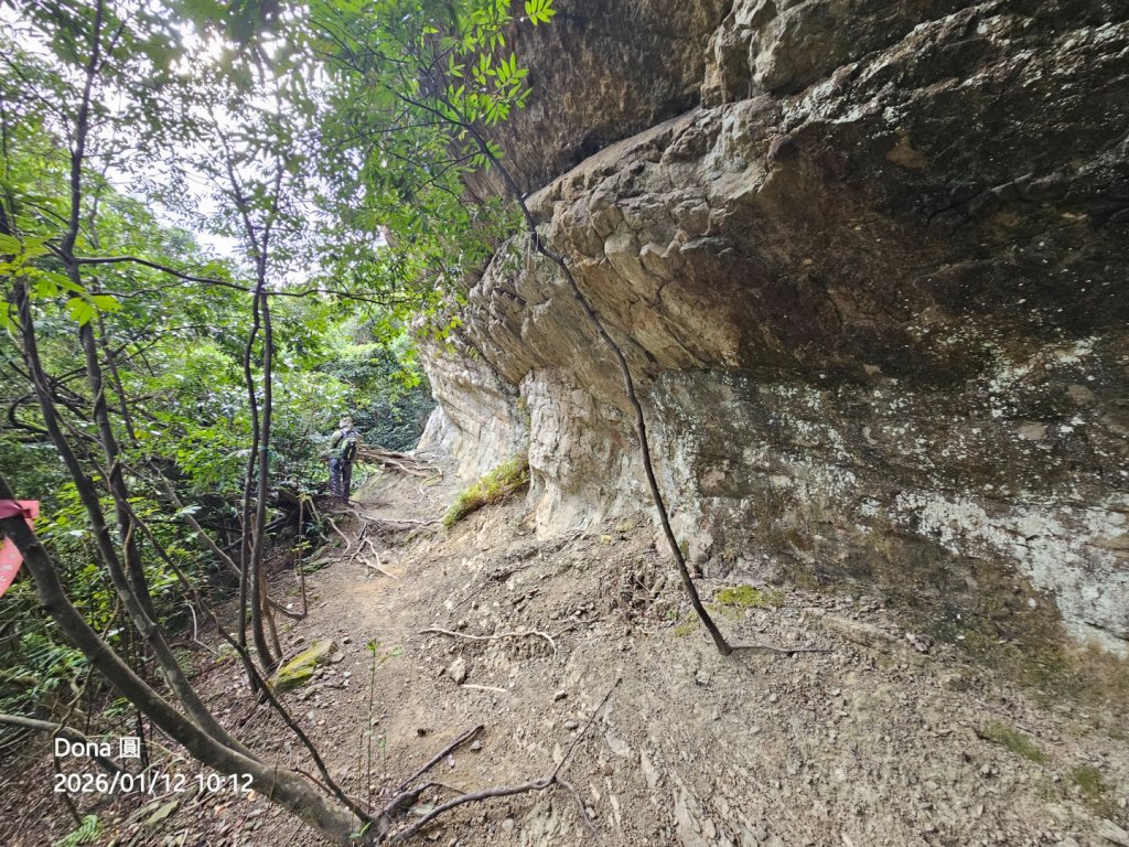 20260112月扇湖山&四分子古道O走+烏塗溪步道_2986560