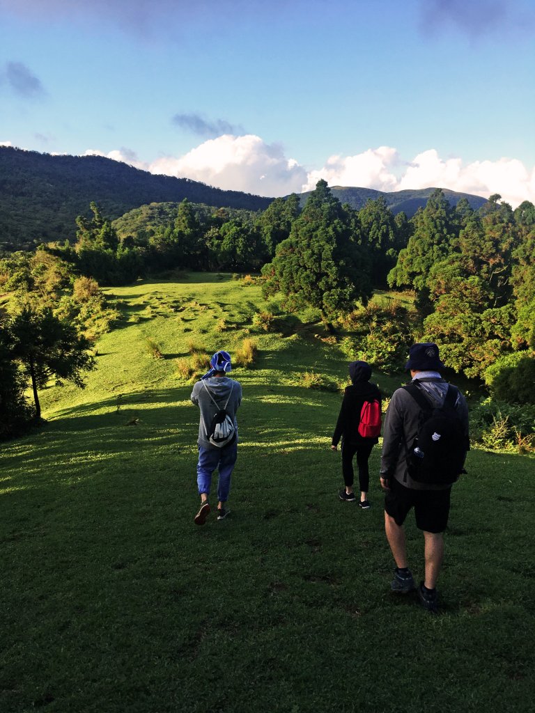 2020-11-15 頂山石梯嶺步道_1175289