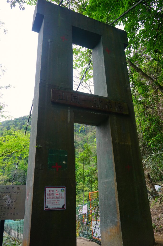 蕨之道~春遊瓦拉米_563011