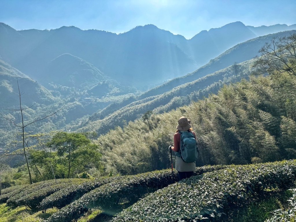 溪頭六連峰O繞_2741711