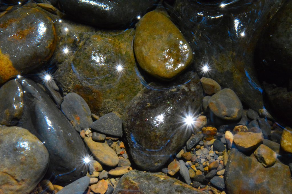 充滿禪意的坪溪古道_1455131