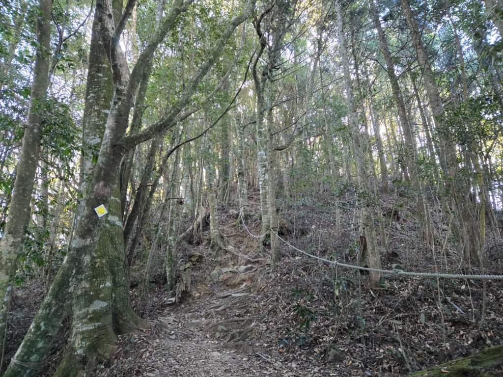 屋我尾山（谷關七雄）_2664172