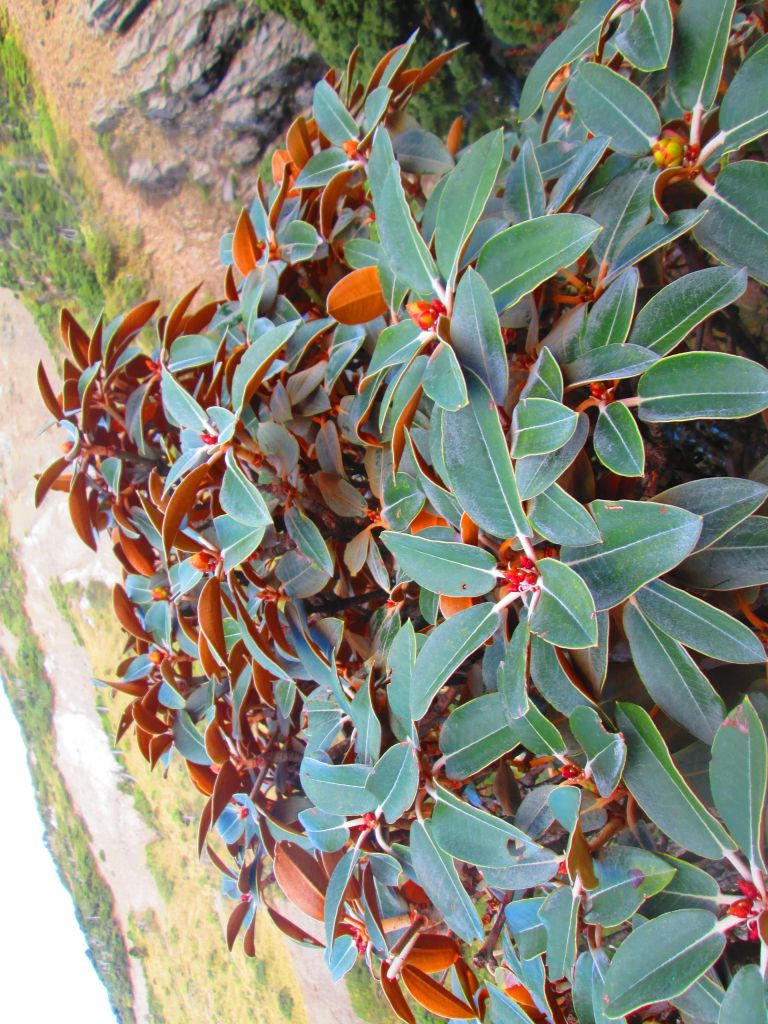 北一段 南湖前四峰_378537