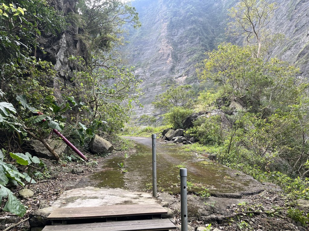 [健走複利 用愛走遍全臺灣] 2024_1123 嗡嗡大峽谷_2653623
