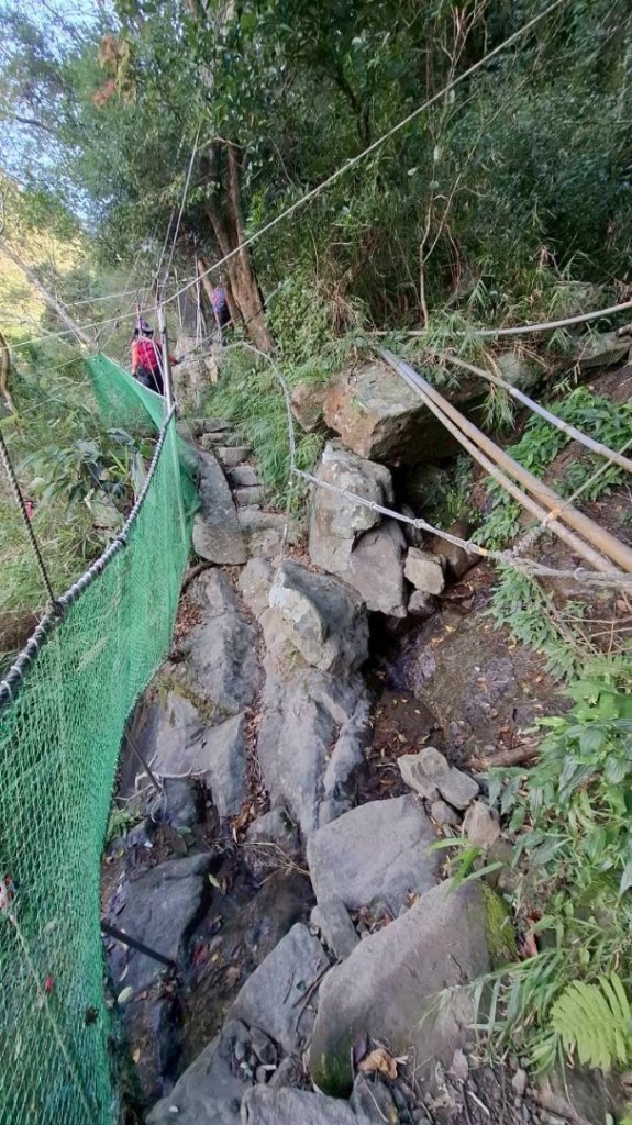 楓港紫竹林龍峰寺起登 里龍山(小百岳#80)來回_2964488