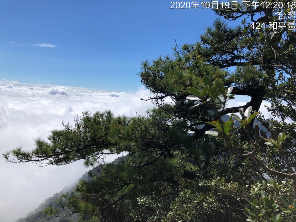鳶嘴稍來國家步道季秋縱走_1144503