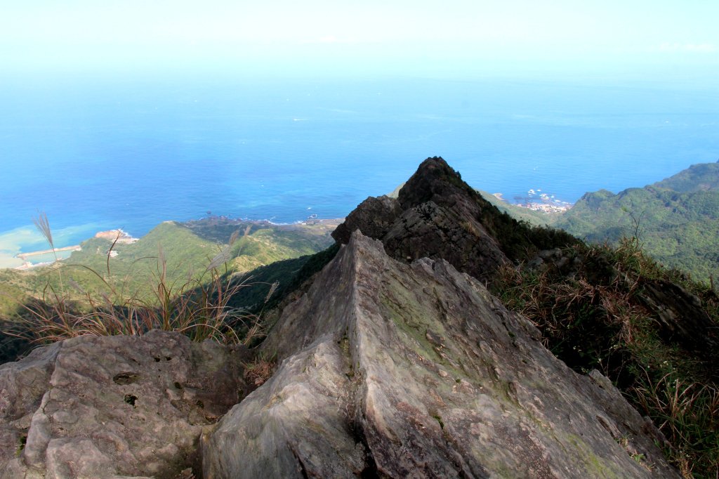 【金瓜石】漫山芒花怒放浪漫，礦山藍海奇景夢幻！_2964111