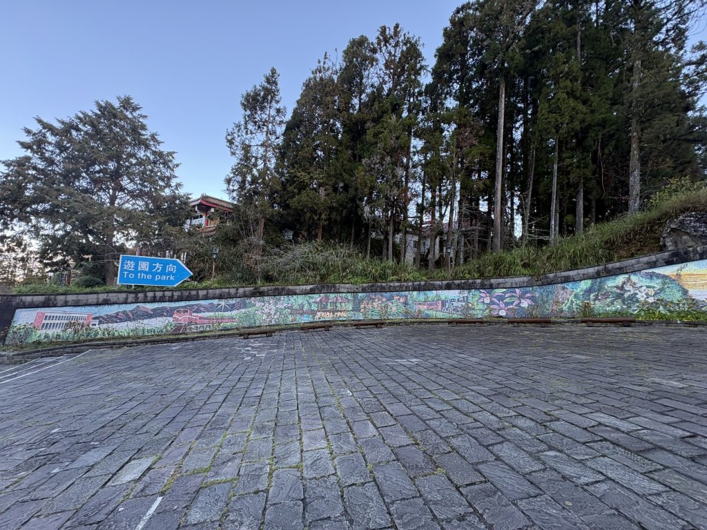 20251225塔山步道(大塔山)_2970222