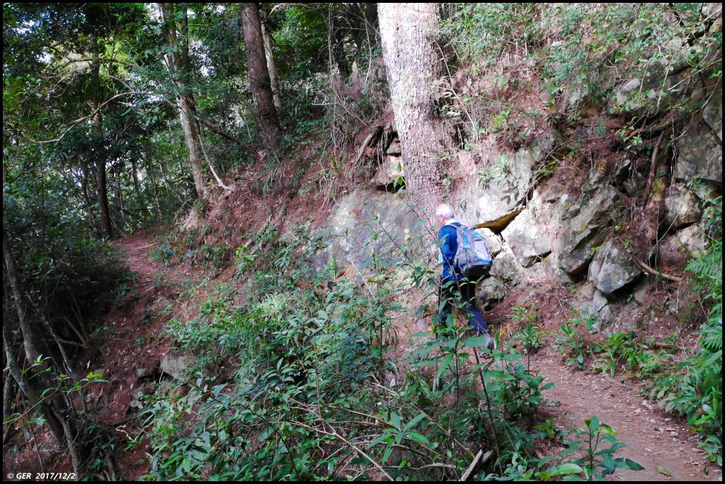 秋老虎發威 ~ 谷關七雄之東卯山_218948