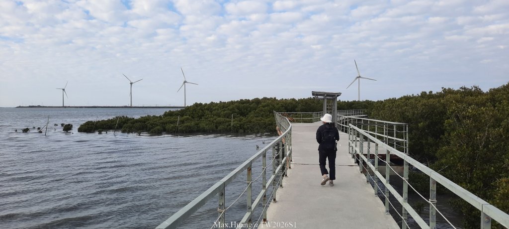 《彰化》海空夕照｜王功燈塔及芳苑海空步道健行賞冬候鳥20260110_2980254