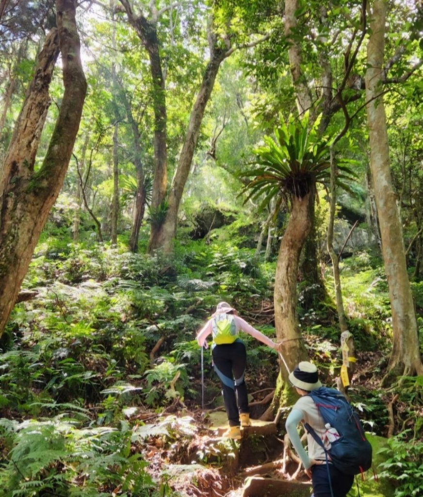 【中級山】水雲三星，鳥嘴山（上島山）_2743358